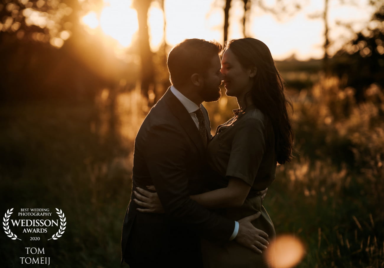 Loveshoots-award-winning